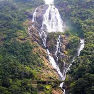 Read more about the article Dudhsagar Falls 2023: An Exquisite Natural Wonder of India