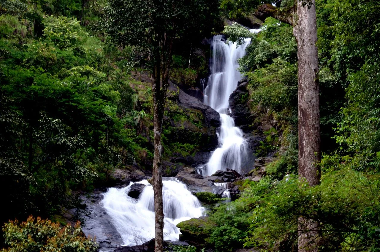 Read more about the article Iruppu Falls 2023: A Mesmerizing Natural Wonder