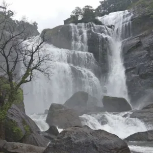Read more about the article Mallalli Falls 2023: Discover the Enchanting Beauty of Coorg’s Hidden Gem
