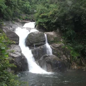 Read more about the article Meenmutty Waterfalls 2023: A Mesmerizing Natural Wonder